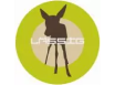 LASSIG