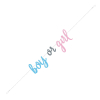 Банер “Boy or Girl“ 213 см.