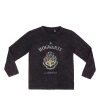 Тениска с дълъг ръкав Cerda Harry Potter Hogwarts 116-164 2200008149