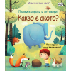 Първи въпроси и отговори Какво е акото?