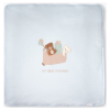 Порт бебе-одеяло Bebetto MY FIRST PLAYMATE BLUE 80x85см, B883 