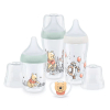 Комплект бебешки шишета и залъгалка Nuk Perfect Match Disney Winnie the Pooh