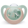 Силиконова залъгалка Nuk First Choice Костенурка с кутийка, 18м+ 