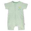 Гащеризон Bebetto Turtle Family 3-18м. T 2591