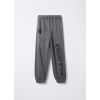 4664661 JOGGER 2/3 C POPPY SEED