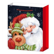 3D Подаръчна торбичка Raya Toys Дядо Коледа, 40 см., асортимент