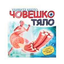 Удивителното човешко тяло