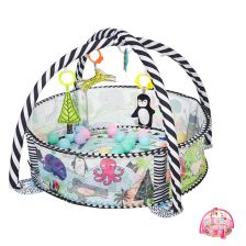 Активна гимнастика Kikka Boo с 30 топчета