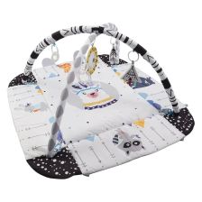 Бебешка активна гимнастика 4в1 Azaria Happy Space Play Gym,с 20 топки, двулицева