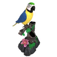 Детска играчка Пеещ папагал Raya Toys С функция запис