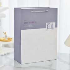 Хартиена торбичка за подарък Raya Toys City Travel M, 24.5 см.