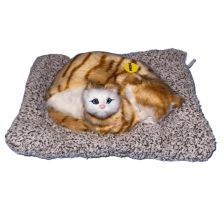 Интерактивна играчка спящи котенца Raya Toys, със звук