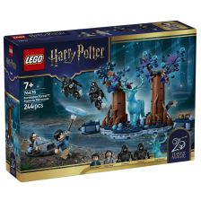 Конструктор LEGO Harry Potter Забранената гора: Експекто Патронум, 76475
