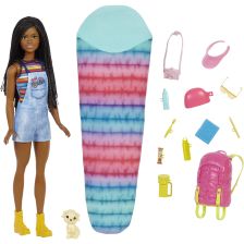 Кукла Mattel Barbie Camping Brooklyn Doll