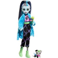 Кукла Mattel Monster High Frankie Stein & Watzie с аксесоари и домашен любимец