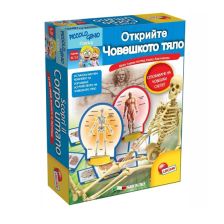 Малкият гений Lisciani Открийте човешкото тяло 68876