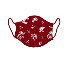 Маска за лице Cerda Harry Potter за тийнейджърска възраст