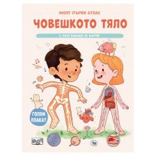 Моят първи атлас. Човешкото тяло