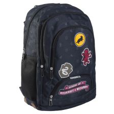 Раница за училище Cerda Harry Potter School of Witchcraft & Wizardry, 46 см