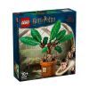 Конструктор LEGO Harry Potter Мандрагора 76433