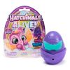 Фигурка изненада Spin Master Hatchimals Alive Neon Rainbow, асортимент