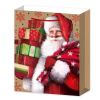 Подаръчна торбичка Raya Toys Дядо Коледа, 40 см.