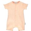 Гащеризон Bebetto HAPPY FLOWERS 3-18м. T 2559