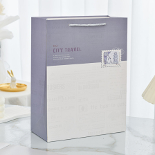 Хартиена торбичка за подарък Raya Toys City Travel M, 24.5 см.