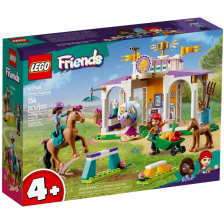 Конструктор LEGO Friends Тренировка с кон, 41746