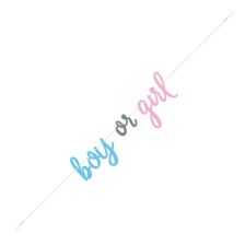 Банер “Boy or Girl“ 213 см.