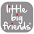 Little Big Friends